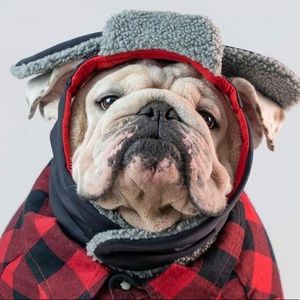 Meet your Posher, Roman